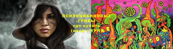 спайс Алексин